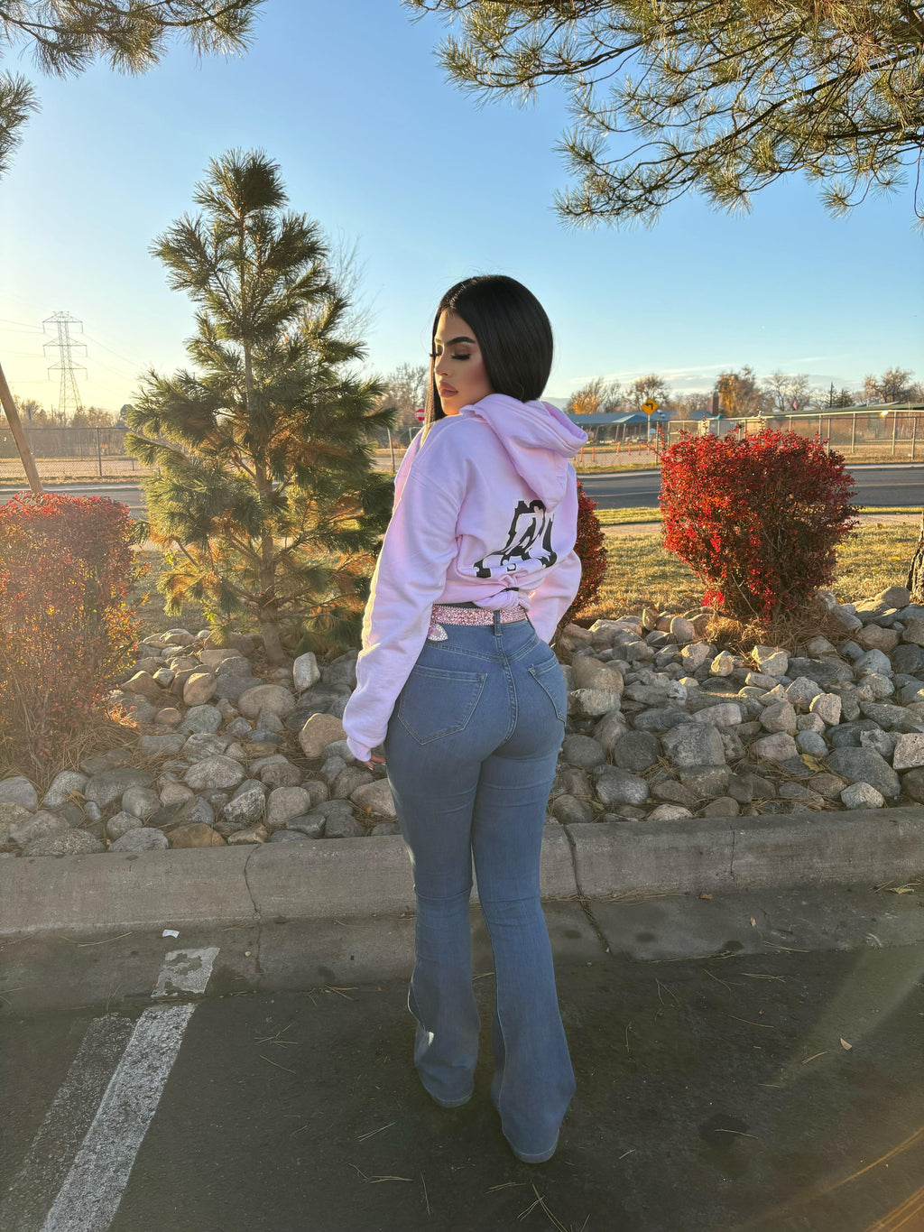 Pink Cow Print hoodie